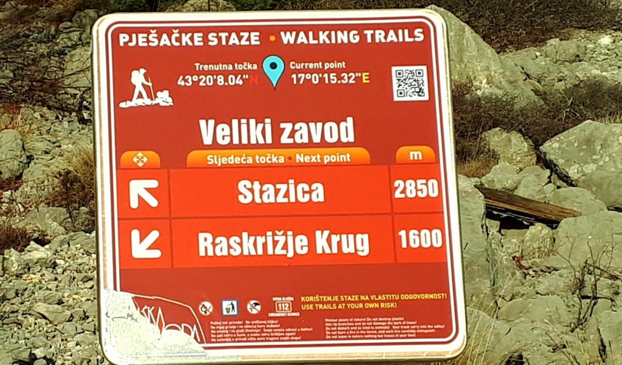 Taja * Makarska