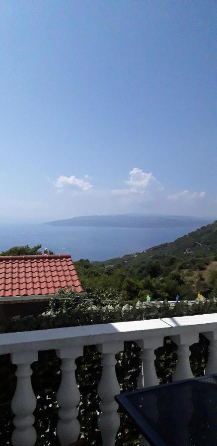Taja *