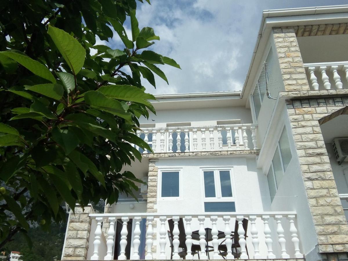 Apartment Taja